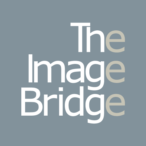 The Image Bridge inicia campaña de difusión del modelo estratégico de posicionamiento en Empresariado Colombiano