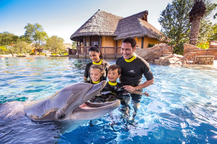SeaWorld Orlando Anuncia Nuevo Espectáculo con Delfines “Dolphin Days”